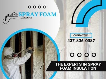 Spray foam experts Toronto City Builders &amp; Building Contractors _small