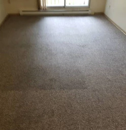 Fall Carpet Cleaning Specials Winnipeg City Carpet Cleaning